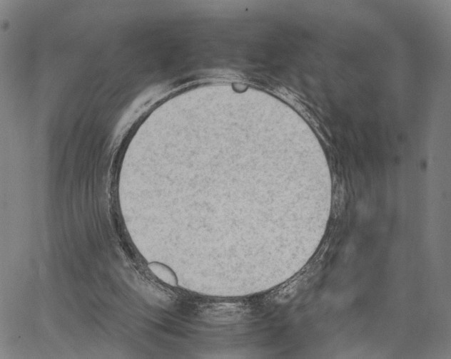 X0000062870151200602101700