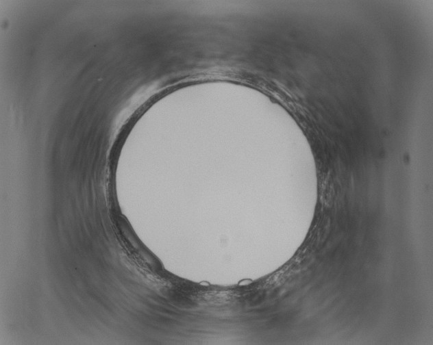 X0000062870152200602101700