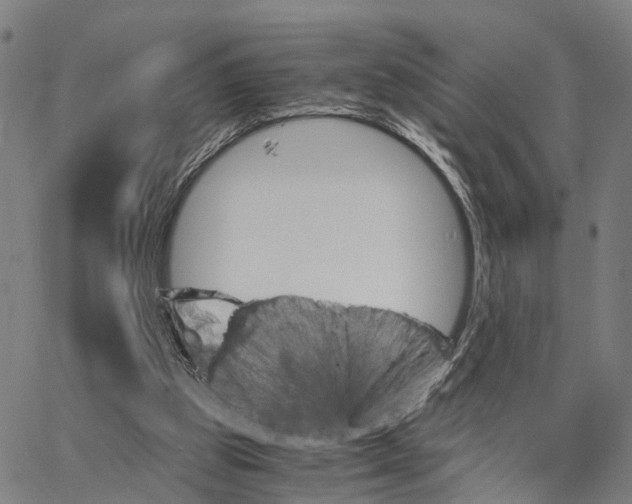 X0000062870153200602101700