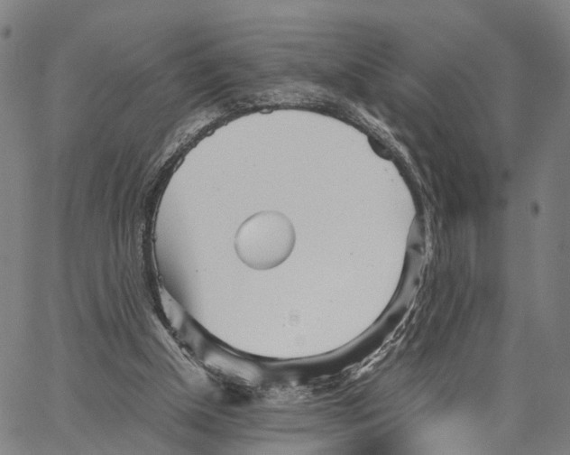 X0000062870154200602101700