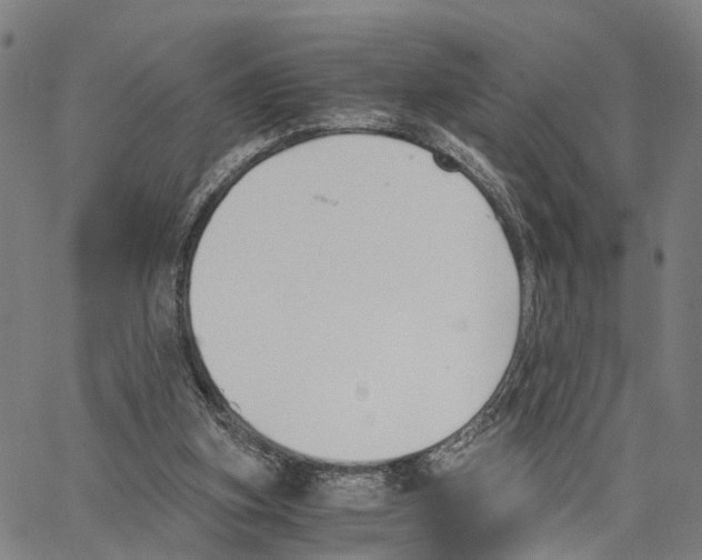 X0000062870155200602101700