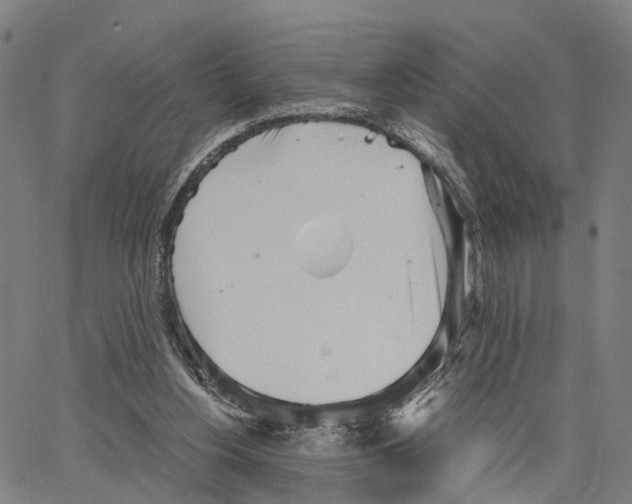 X0000062870156200602101700