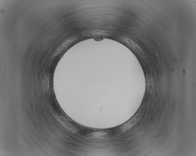 X0000062870158200602101700