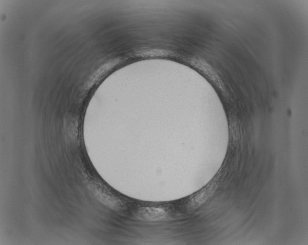 X0000062870159200602101700