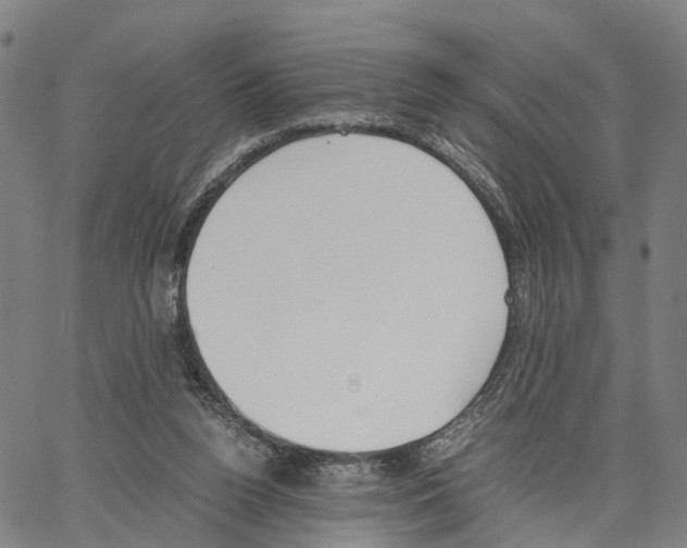 X0000062870160200602101700