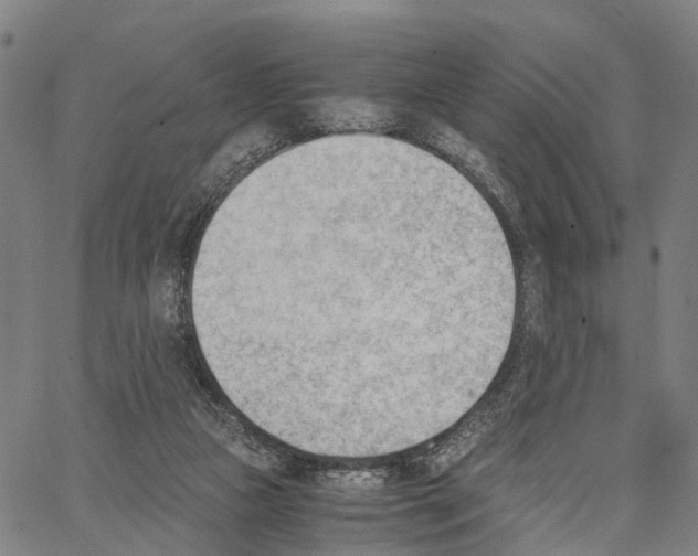 X0000062870161200602101700