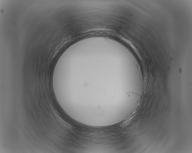 X0000062870162200602101700