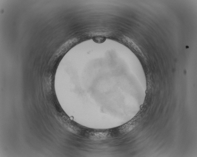 X0000062870163200602101700