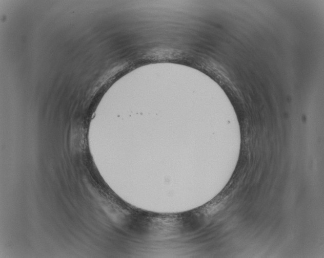 X0000062870164200602101700