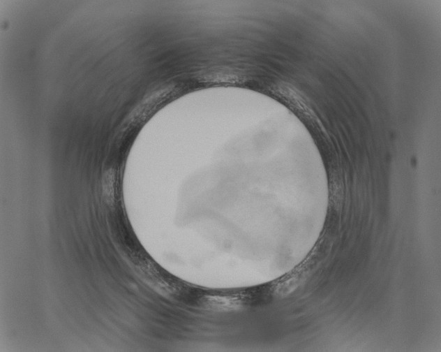 X0000062870167200602101700