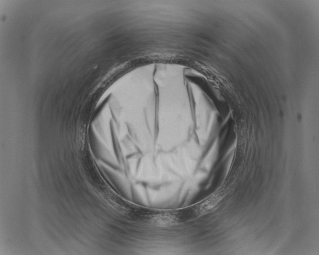 X0000062870168200602101700