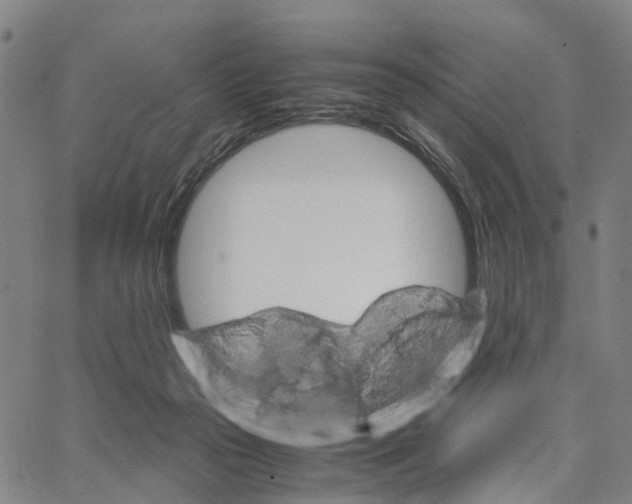 X0000062870169200602101700