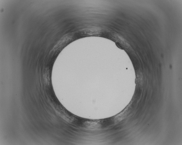 X0000062870170200602101700