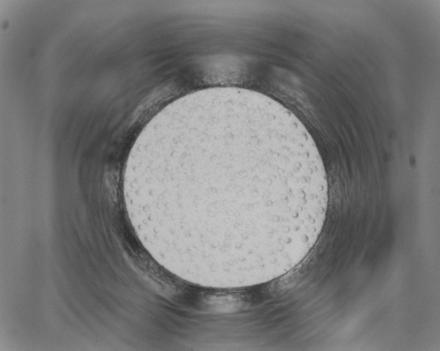 X0000062870171200602101700