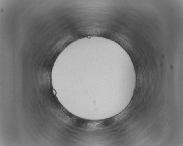 X0000062870172200602101700