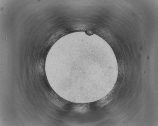 X0000062870175200602101700