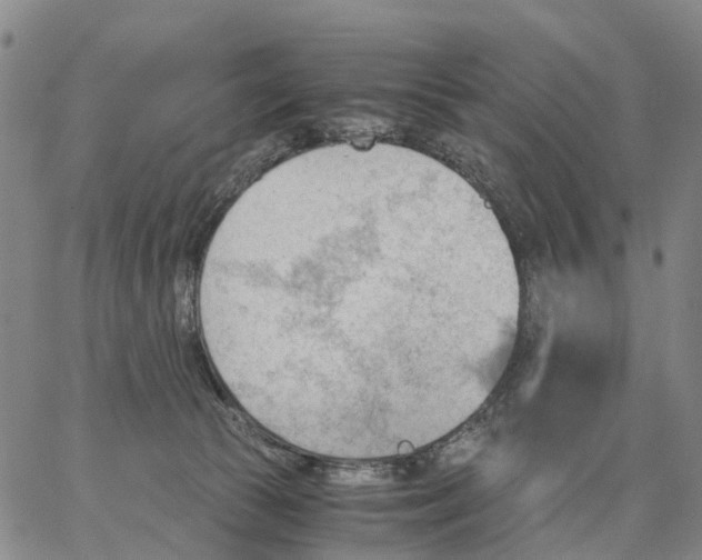 X0000062870177200602101700