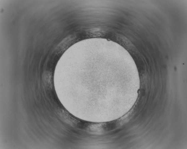 X0000062870178200602101700