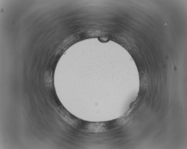 X0000062870179200602101700