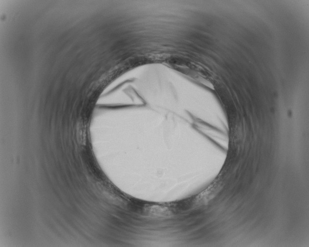 X0000062870180200602101700