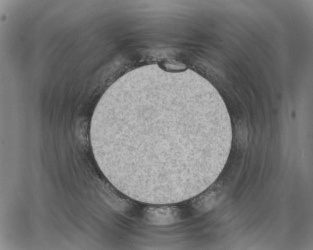 X0000062870181200602101700