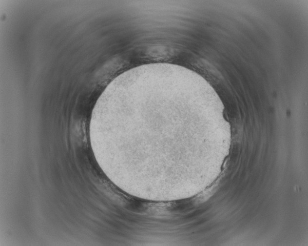 X0000062870182200602101700