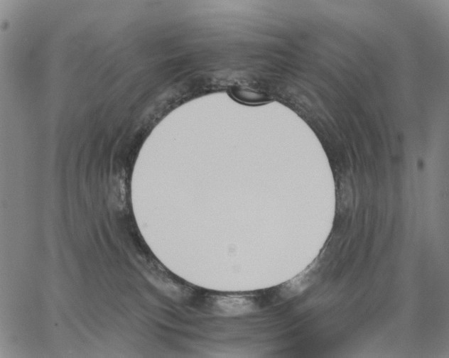 X0000062870183200602101700