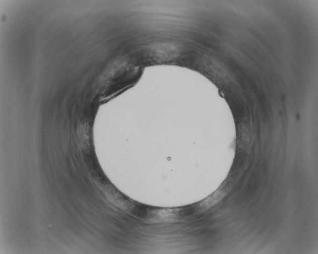 X0000062870184200602101700