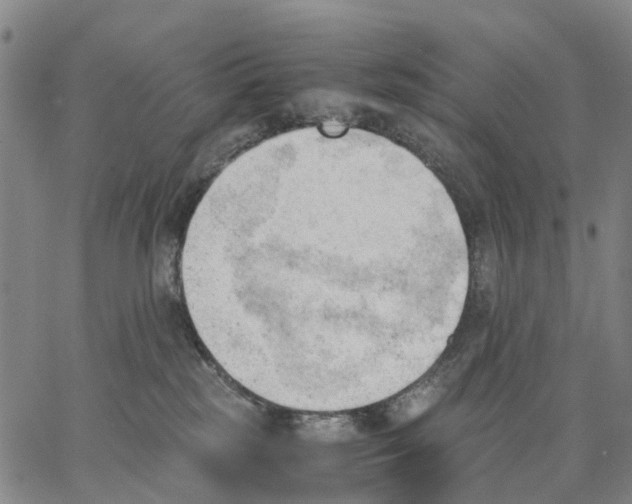 X0000062870185200602101700