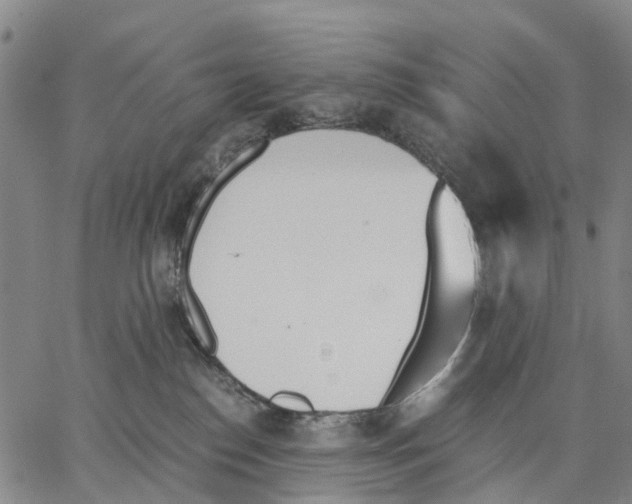 X0000062870186200602101701