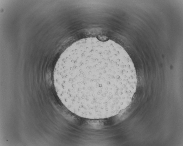 X0000062870187200602101701