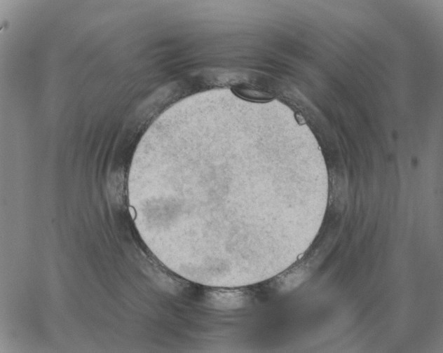 X0000062870189200602101701