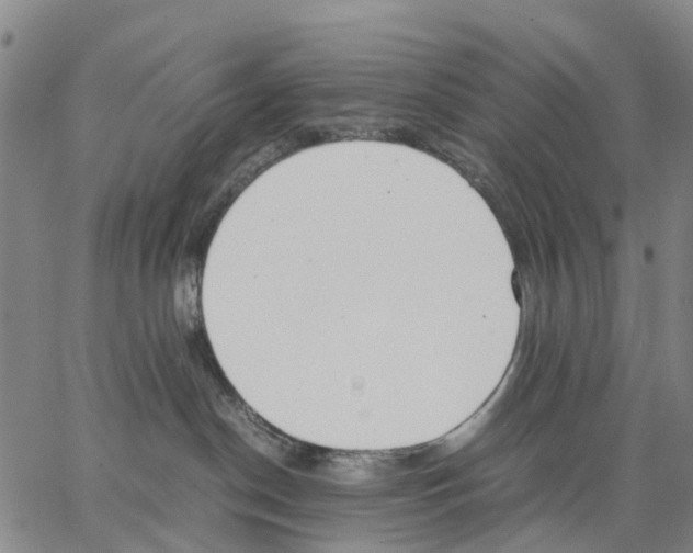 X0000062870190200602101701