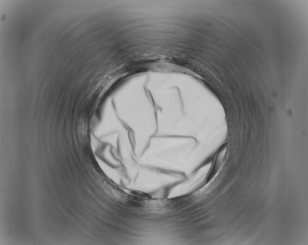 X0000062870192200602101701