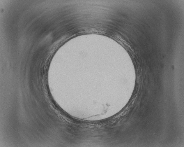 X0000062870193200602101700