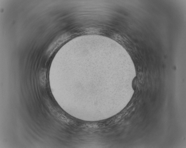 X0000062870194200602101700