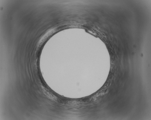 X0000062870197200602101700