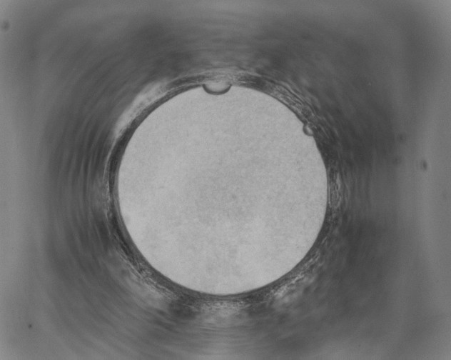 X0000062870198200602101700