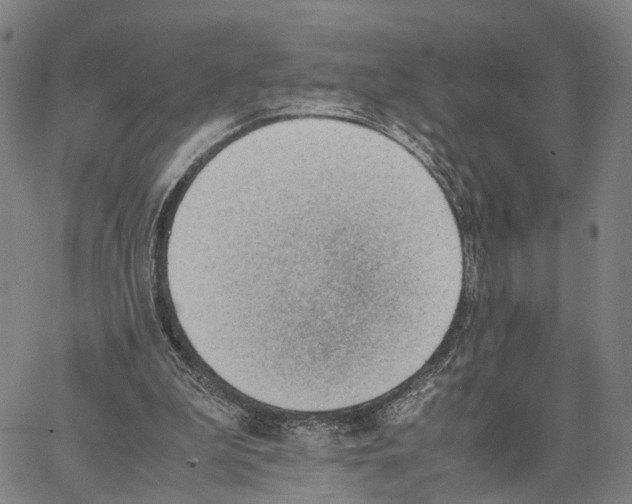 X0000062870199200602101700