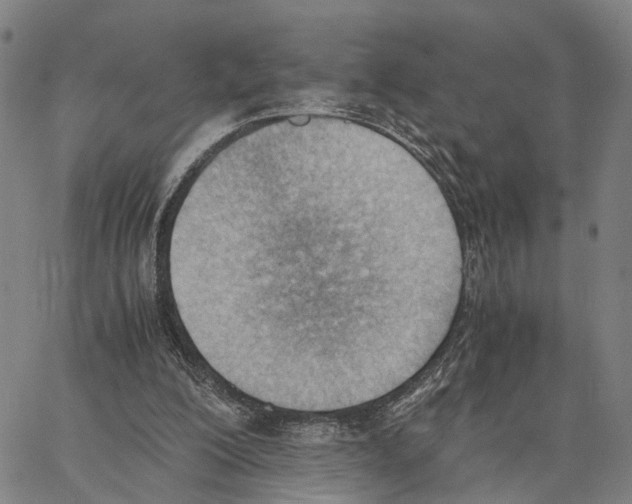 X0000062870200200602101700