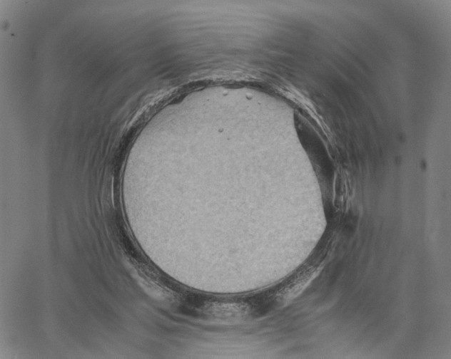 X0000062870205200602101700