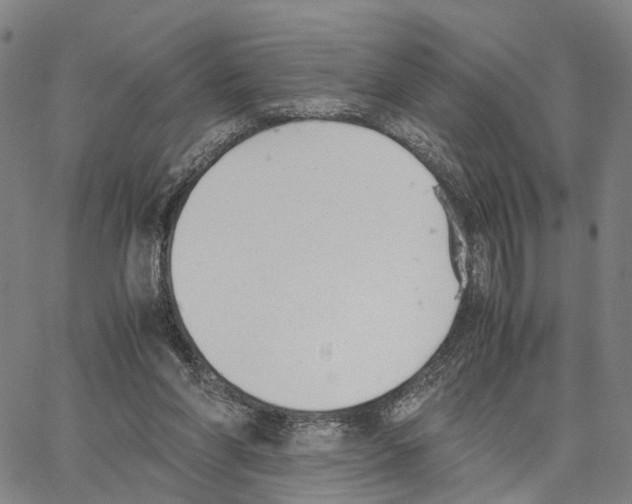 X0000062870206200602101700