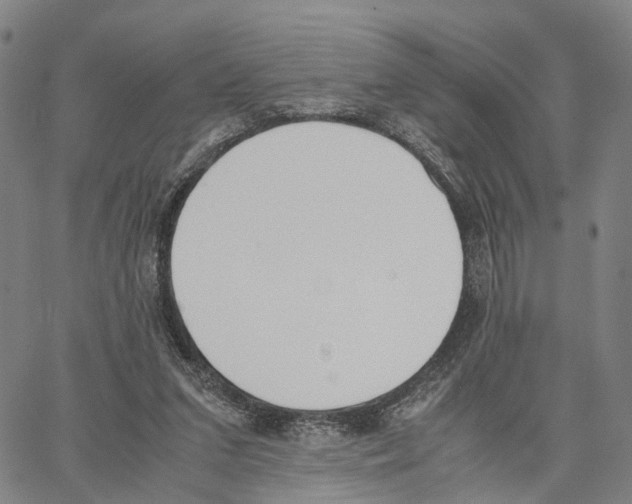 X0000062870207200602101700