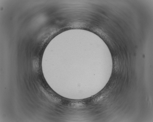 X0000062870208200602101700