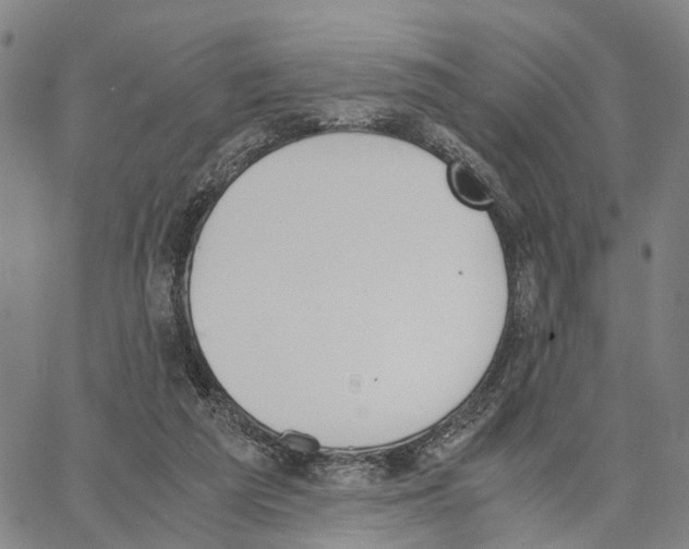 X0000062870209200602101700