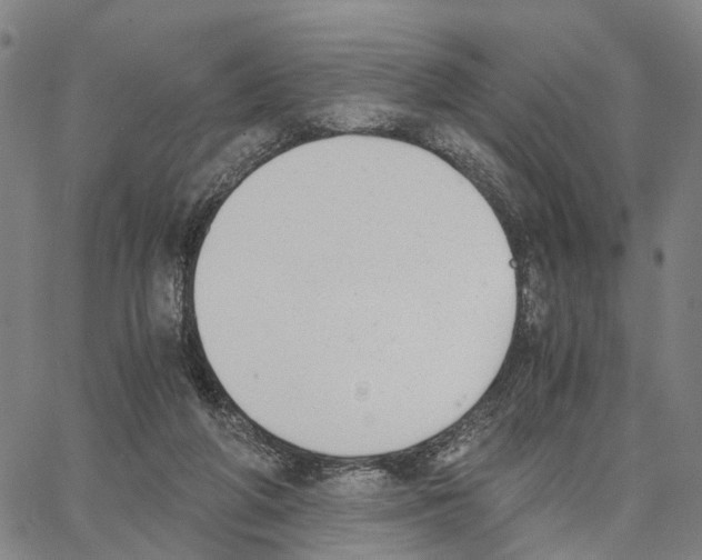 X0000062870210200602101700