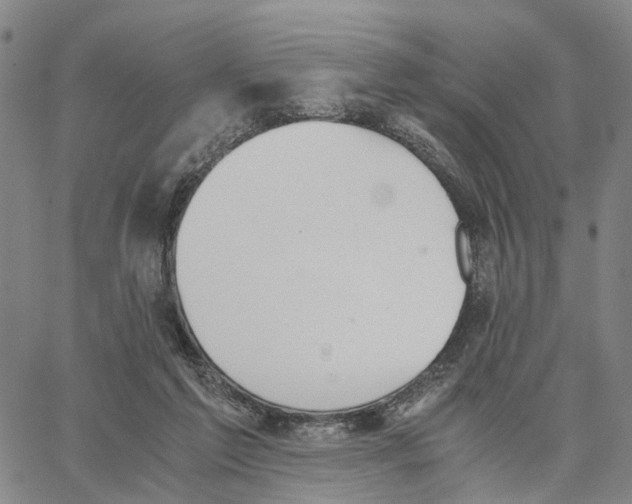 X0000062870213200602101659