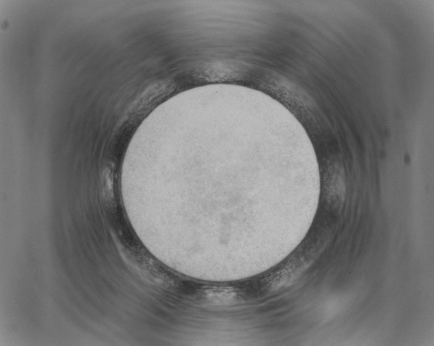 X0000062870214200602101659