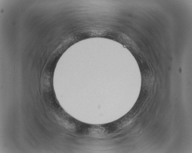 X0000062870215200602101659