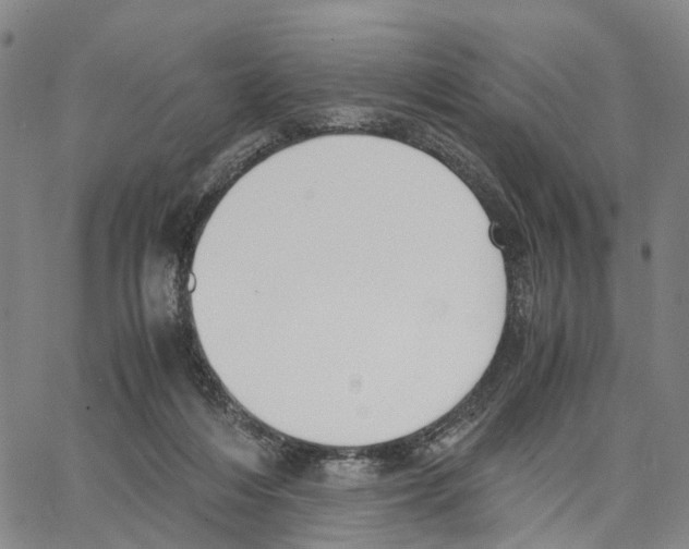 X0000062870216200602101659